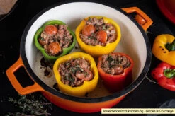 Grillfürst Emaillierter Dutch Oven Ohne Füsse DO9 - Orange -Grillen Und Rauchern Grillfuerst Dutch Oven emailliert Beispiel DO7 5 orange