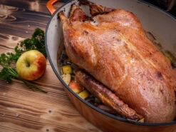 Grillfürst Dutch Oven Sternentöpfchen / Gusseisen Bräter - Emailliert - XL - Orange -Grillen Und Rauchern Grillfuerst Gaensebraeter Sternentoepfchen