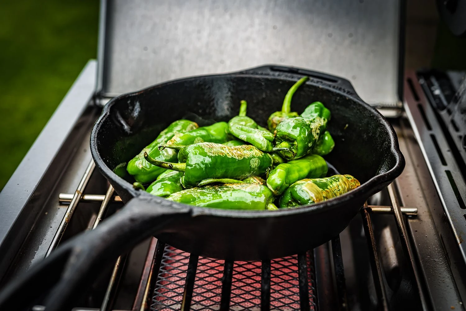 Grillfürst G210G Grill Control Edition 2-Brenner Gasgrill Mit Grill Control, Hochtemperaturbrenner Und Gusseisen Rosten 17 Grillfürst G210G Grill Control Edition 2-Brenner Gasgrill Mit Grill Control, Hochtemperaturbrenner Und Gusseisen Rosten – Bild 15